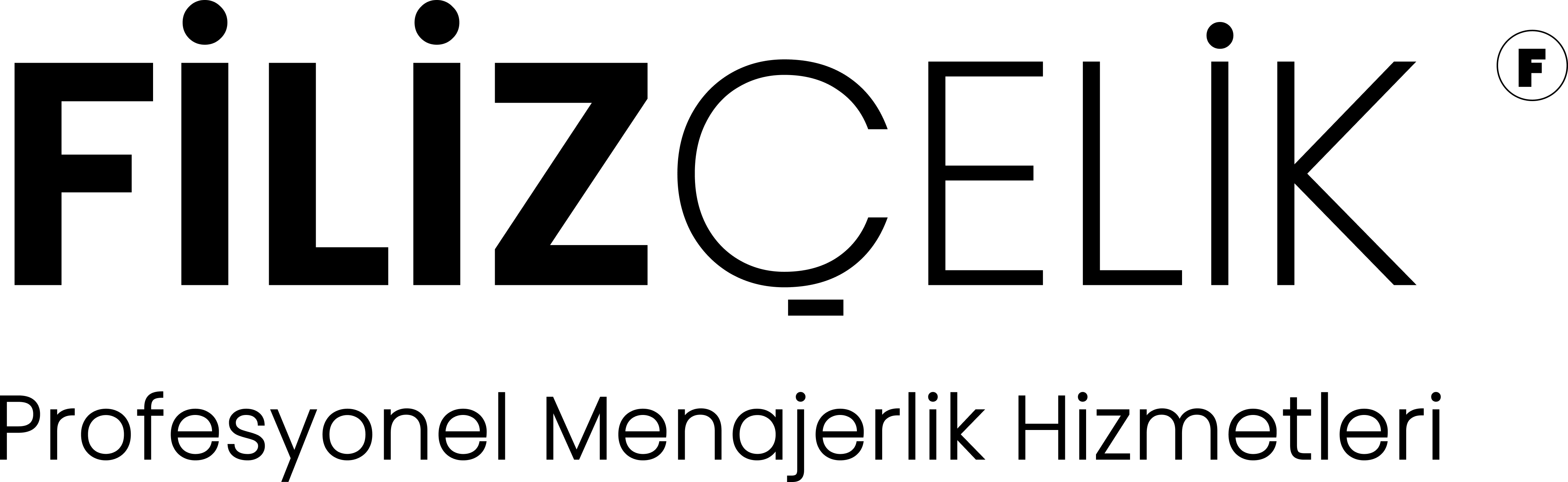 Filiz �elik Logo